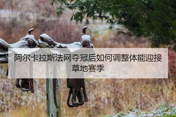 a-er-ka-la-si-fa-wang-duo-guan-hou-ru-he-tiao-zheng-ti-neng-ying-jie-cao-di-sai-ji-2-887.jpg