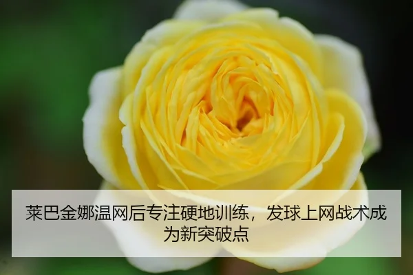 lai-ba-jin-na-wen-wang-hou-zhuan-zhu-ying-di-xun-lian-fa-qiu-shang-wang-zhan-shu-cheng-wei-xin-tu-po-dian-3-320.jpg