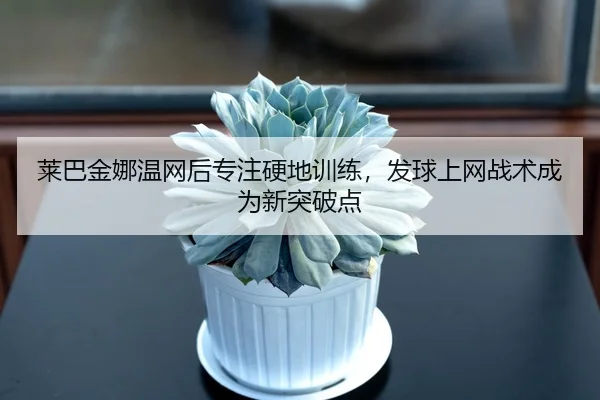 莱巴金娜温网后专注硬地训练，发球上网战术成为新突破点