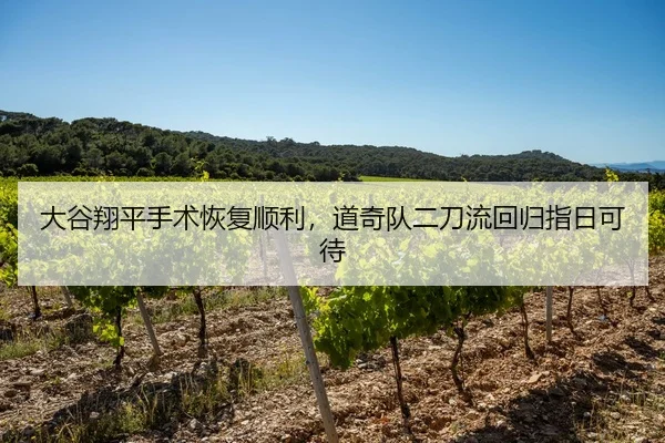 大谷翔平手术恢复顺利，道奇队二刀流回归指日可待