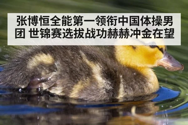 张博恒全能第一领衔中国体操男团 世锦赛选拔战功赫赫冲金在望